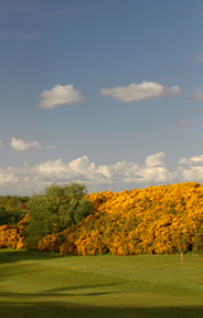 Athlone Golf Course Photo 6