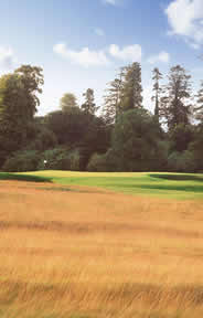 Carton Montgomerie Golf Course Photo 3