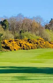 Clandeboye Golf Course Photo 2