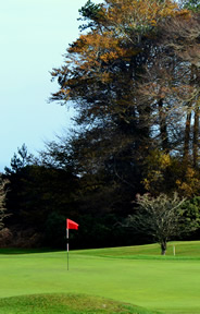 Clandeboye Old Golf Course Photo 5