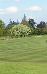 Kilkenny Golf Course Photo 6