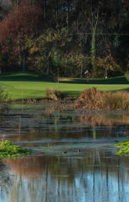 Mount Wolseley Golf Course Photo 3