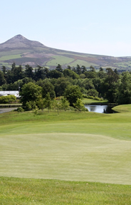 Powerscourt West Golf Course Photo 6