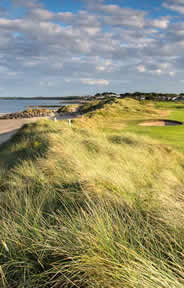 Rosslare Golf Course Photo 4