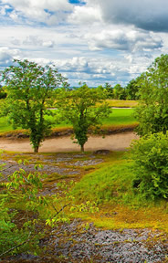 The Heritage Golf Course Photo 6