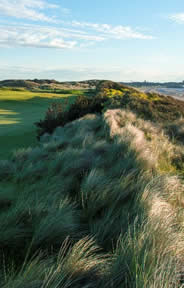 The Island Golf Course Photo 5