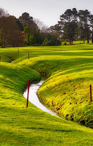 Tramore Golf Course Photo 4