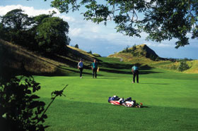 Athlone Golf Club - the 15th, a great par-3