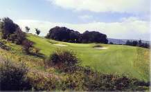 Carlow Golf Club - 17th Green