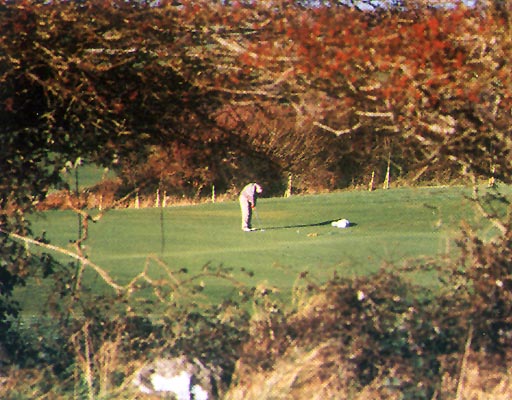 Gort Golf Club - Naturally Wonderful