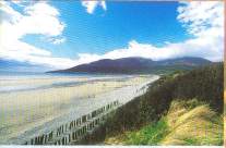 The Mountains Of Mourne