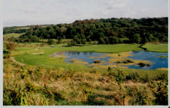 Woodstock's Amen Corner