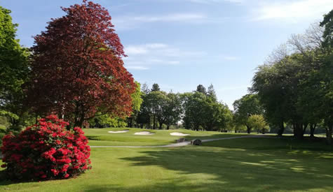 Belvoir Park Golf Course