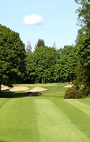 Belvoir Park Golf Course Photo 3