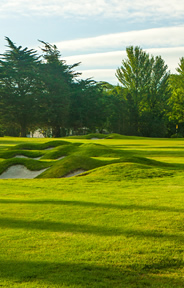 Cork Golf Course Photo 5