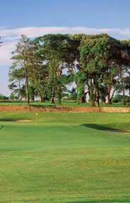 Fota Island Old Golf Course Photo 5