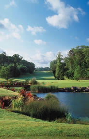 Fota Island Golf Course Photo 6