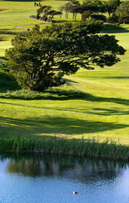 Galway Bay Old Golf Course Photo 5