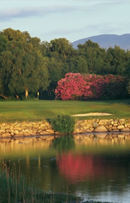 Killarney Killeen Golf Course Photo 4