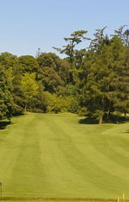 Mullingar Golf Course Photo 4