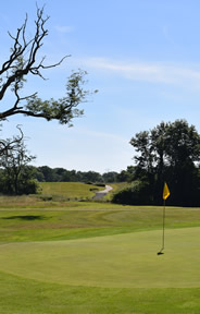 New Forest Golf Course Photo 2