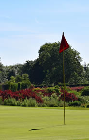 New Forest Golf Course Photo 3