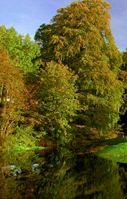 New Forest Golf Course Photo 6