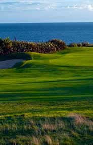 Old Head Golf Course Photo 5