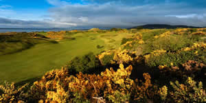 The European Golf Links