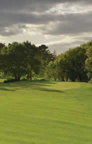 Westport Golf Course Photo 6